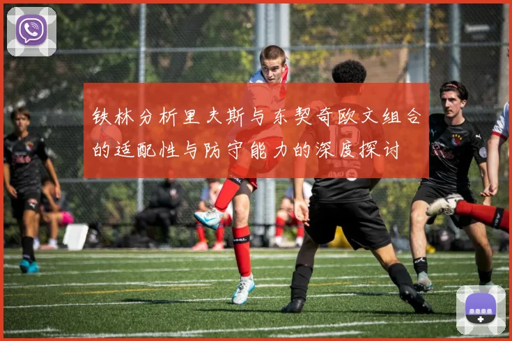 铁林分析里夫斯与东契奇欧文组合的适配性与防守能力的深度探讨